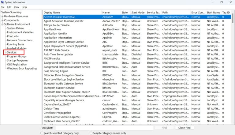 Understanding Software Environment in System Information step 4