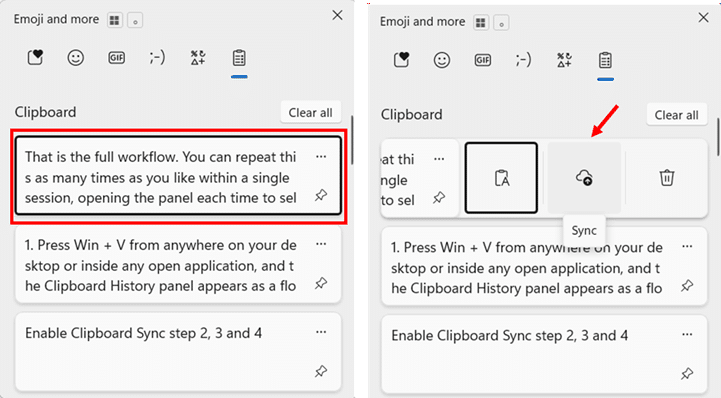 Manually Sync a Specific Item step 2