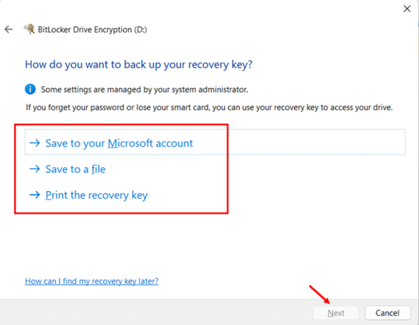 Enable BitLocker on a Secondary Data Drive via Control Panel step 4