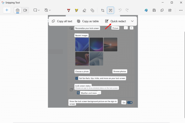Redact sensitive details before sharing step 2