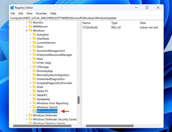 Stop Windows 11 Updates with Registry Editor Step 4