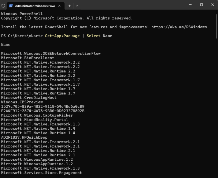 Using PowerShell to Clear App Cache in Windows 11 step 3